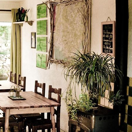 Gite De La Baume , Aux Delices Du Verdon Castellane Bagian luar foto